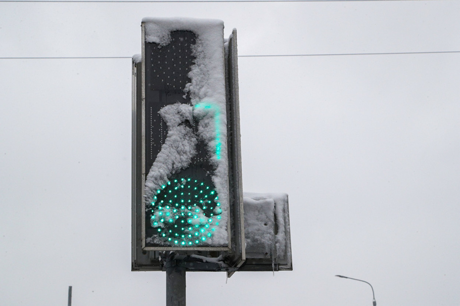    Алексей Белкин/NEWS.ru