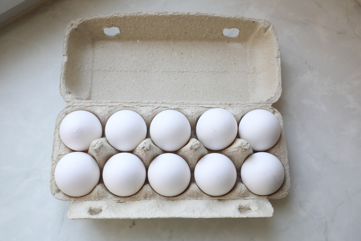 Фото: Александр Глуз