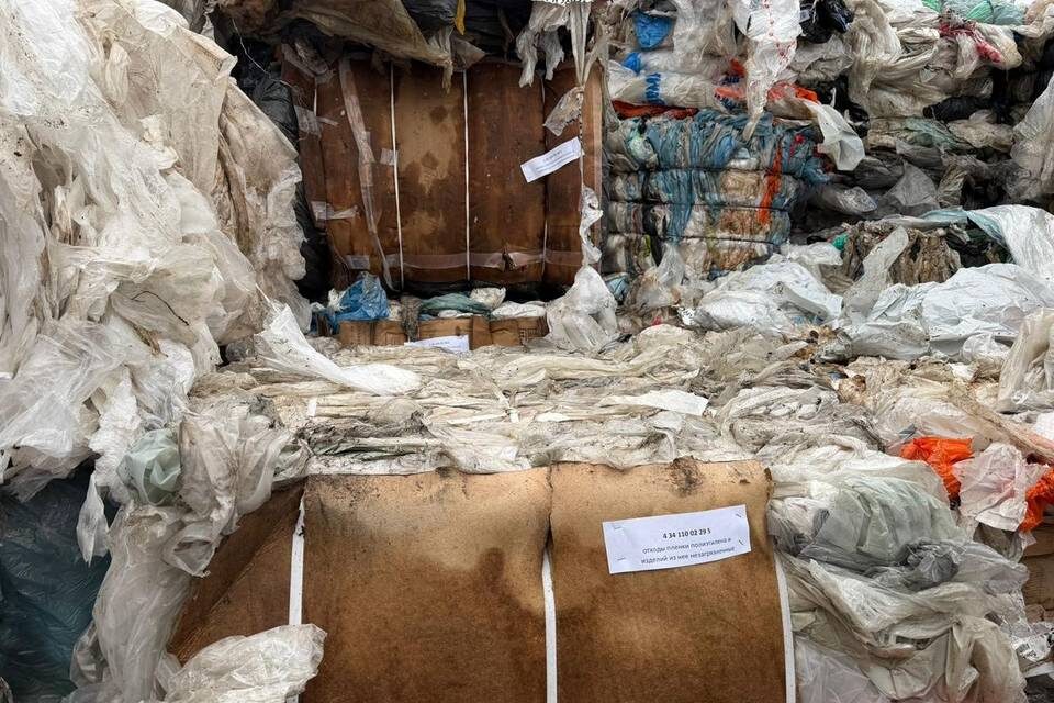    фото: Нижне-Волжское Управление Росприроднадзора