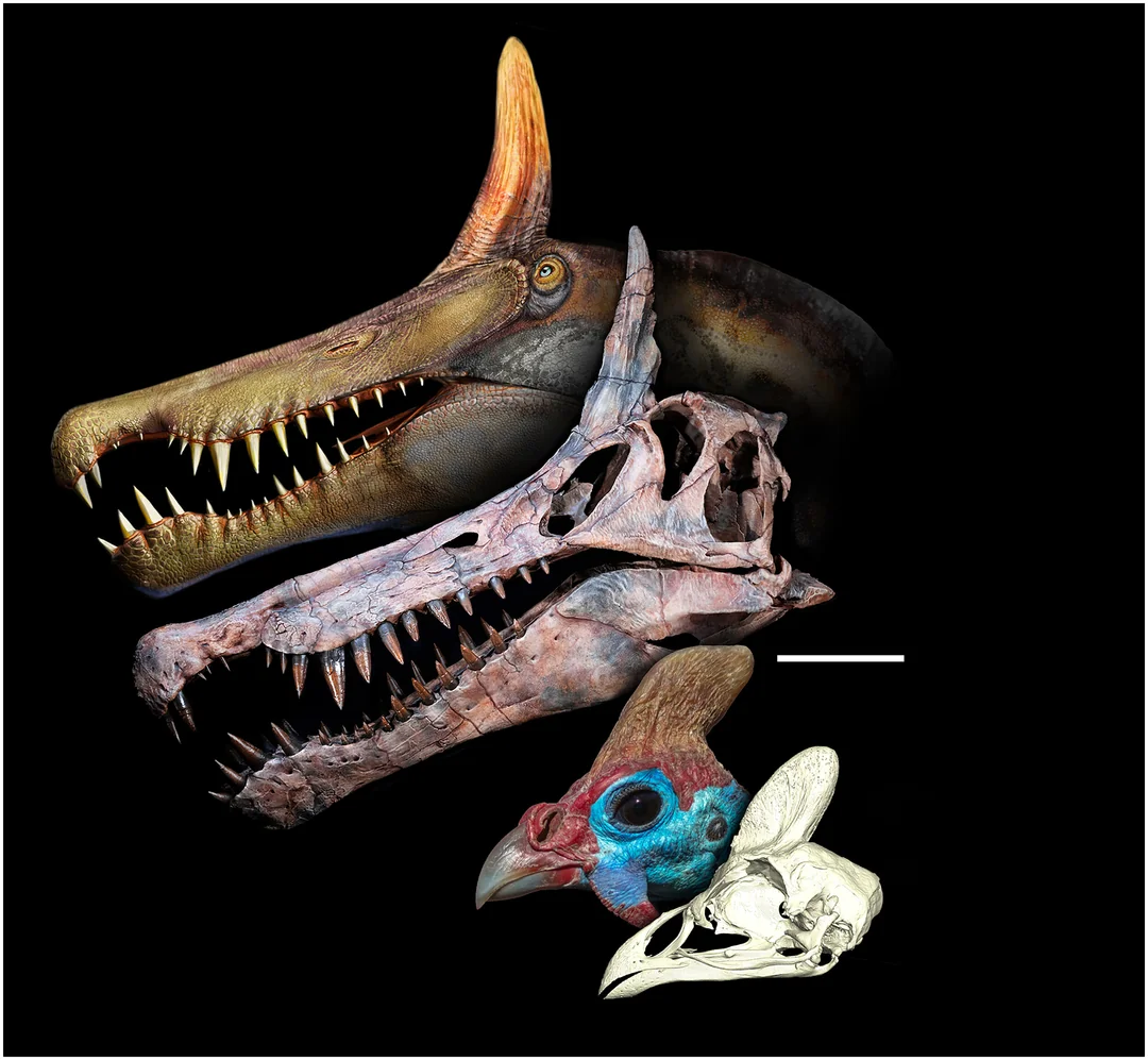 Арт от Dani Navarro