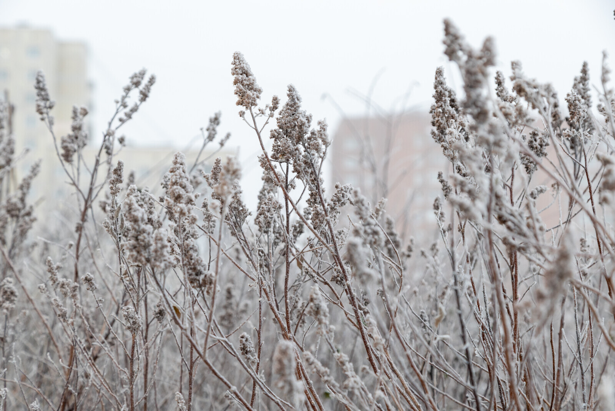 Олег Золото/«Вечерний Санкт-Петербург»