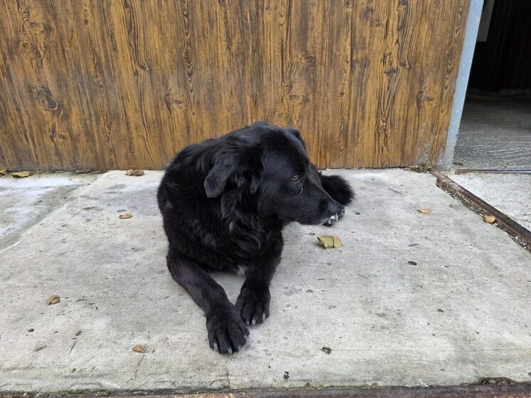     Фото: "МК на Кубани"