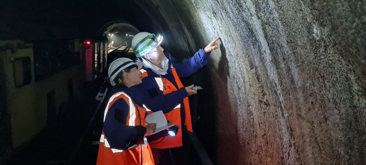 Здесь, в глубине скалы, особенно хорошо видны следы древних тектонических движений. Фото: участники экспедиции Русского географического общества