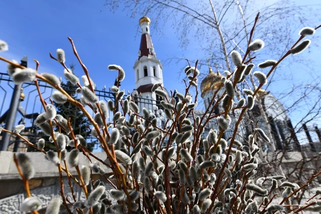 Шестая неделя Великого поста в 2026 году: Вербная неделя и Лазарева суббота