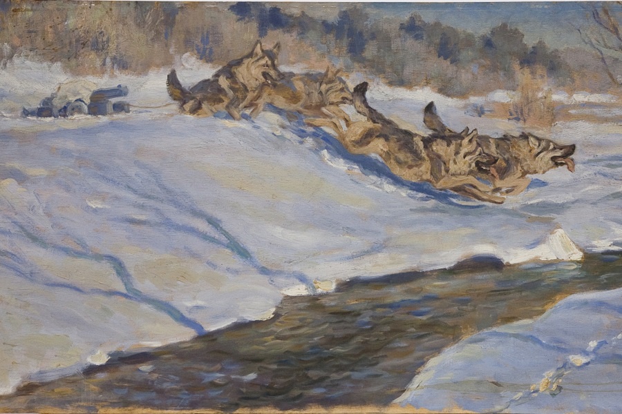 Флеров К.К. Перевозка пулемета ездовыми собаками. Из коллекции Дарвиновского музея