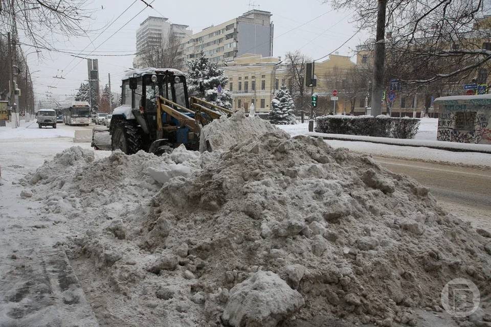    Фото: Дмитрий Рогулин / "Городские вести"