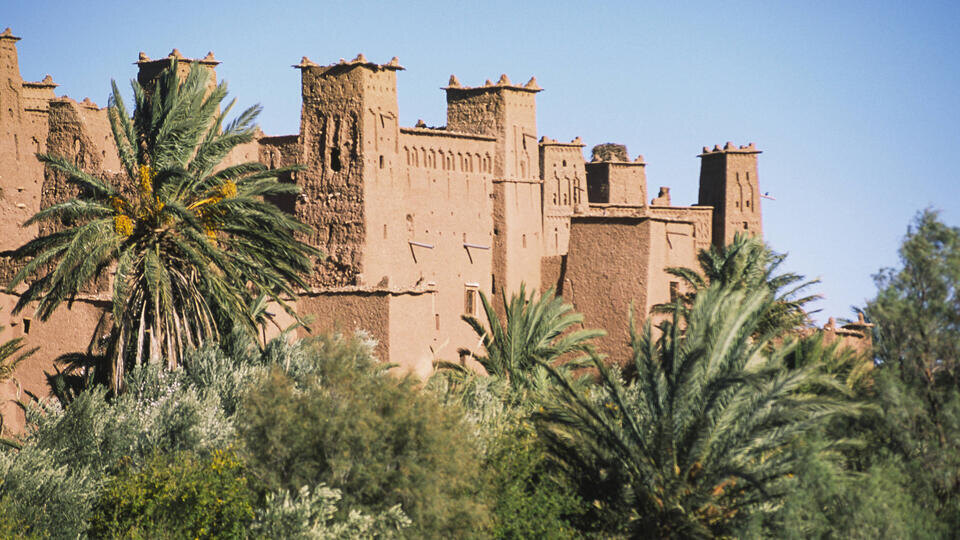 ФОТО: Olaf Schuelke/TASS