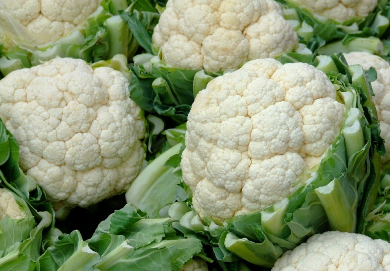 Цветная капуста Сноуболл: эталон белой головки и стабильного плодоношения