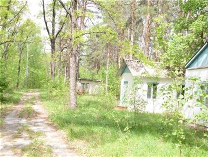    ФОТО: tektorg.ru