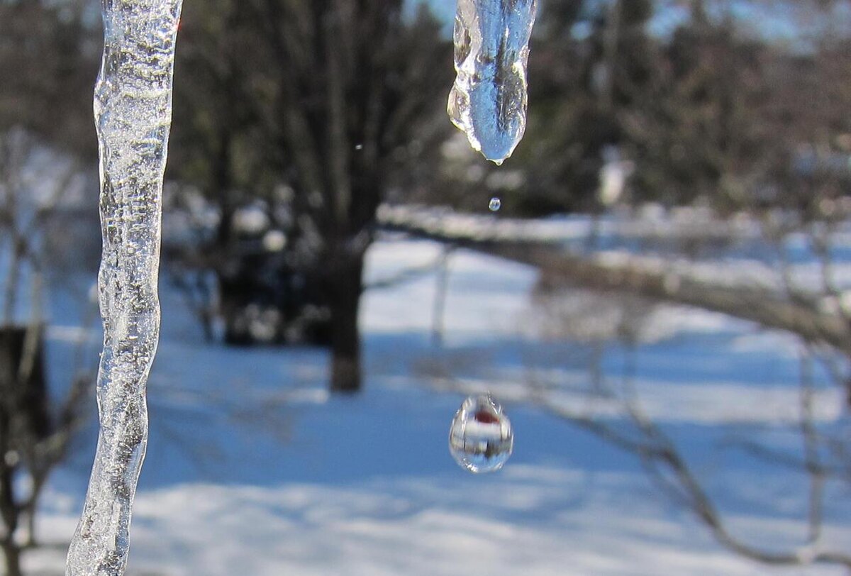 Фото из открытиого источника