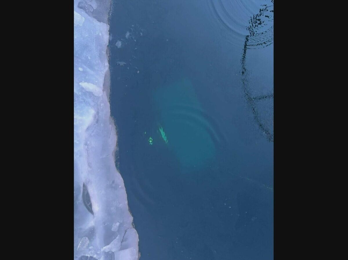    Кадры с места, где машина ушла под лед Байкала | © Силовые структуры