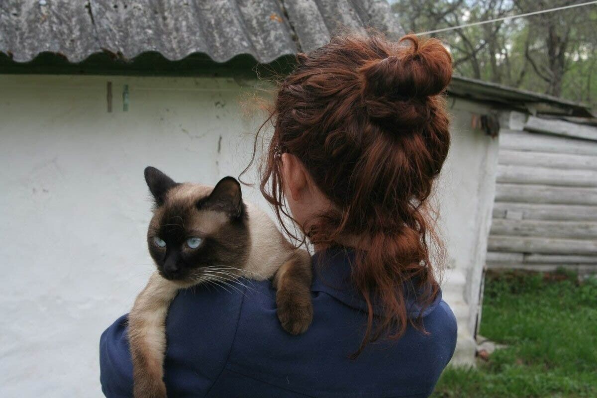 Кошки нас понимают и чувствуют без слов. Источник: личный архив Елены Востриковой📷
