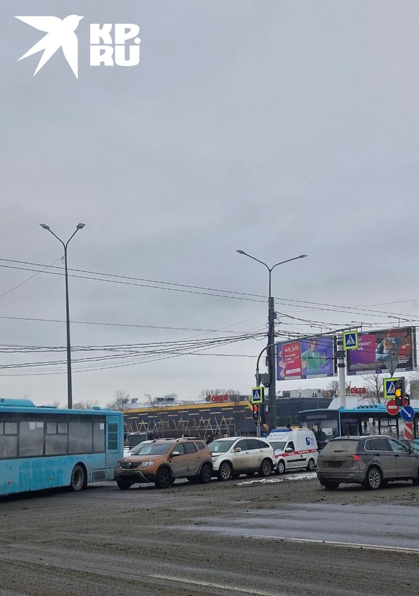    Фото: Источник «КП-Петербург»