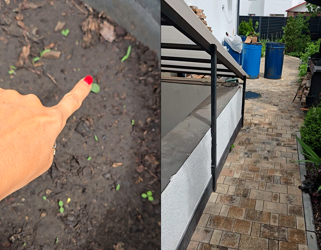 Бочки с огурцами. Сад читательницы. Канал Designmalina.