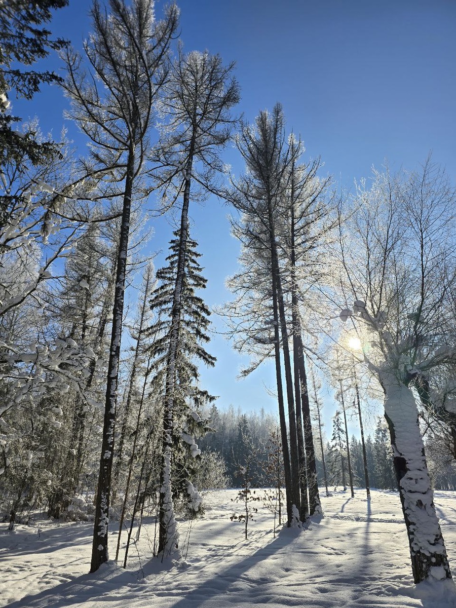 Любование природой тоже всегда спасает от хандры. 