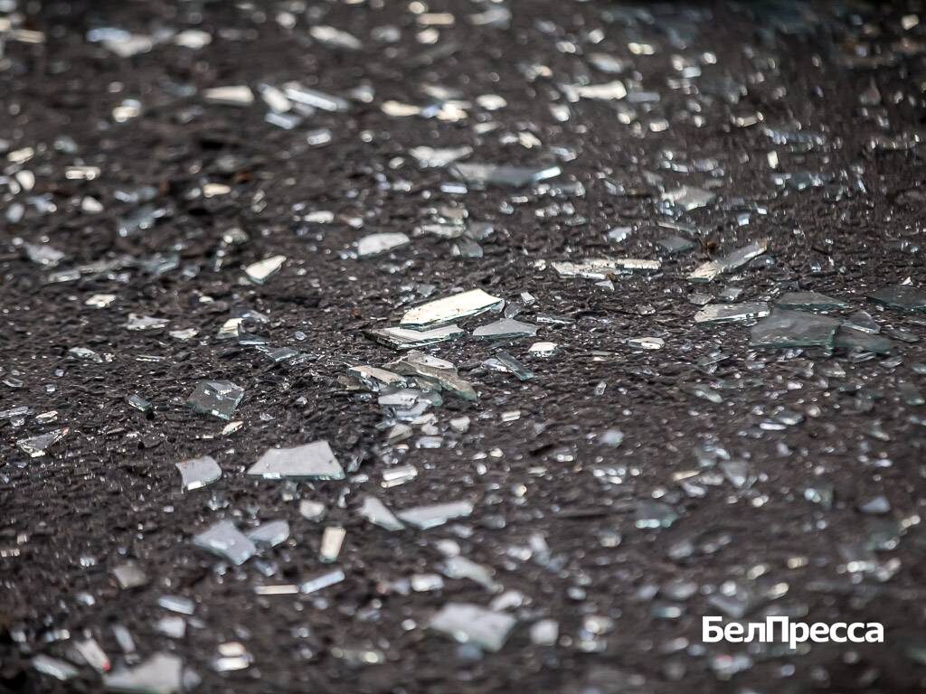     Фото: Павел Колядин (архив)