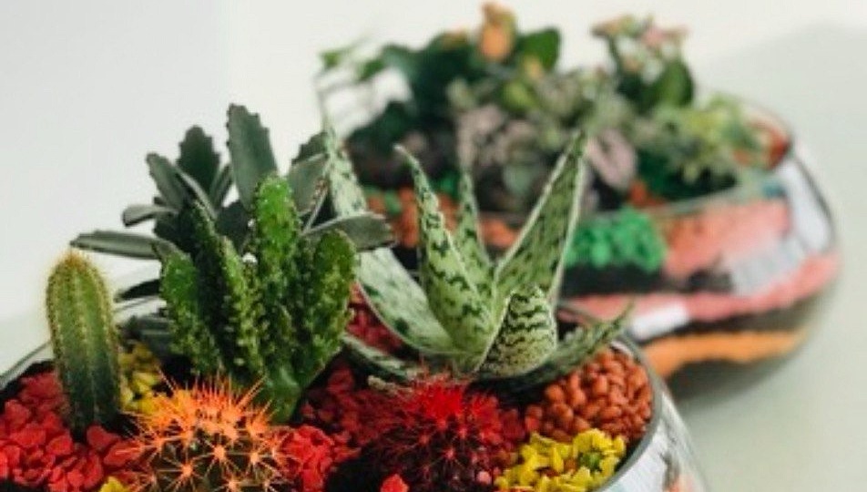 Почему мужчинам дарят цветы в исключительных случаях? 🤔