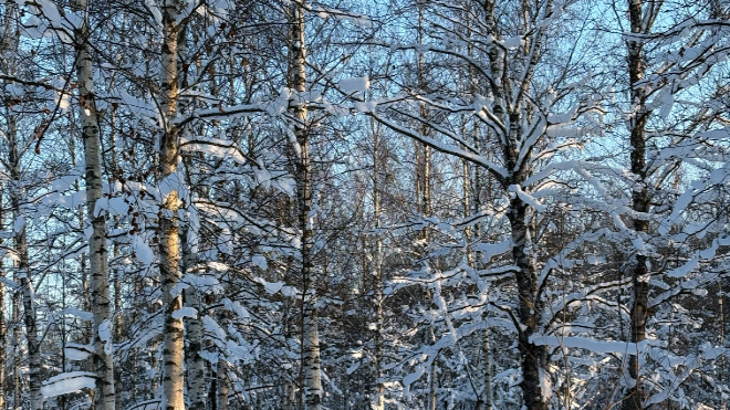 Фото: 47channel / Нина Вересова