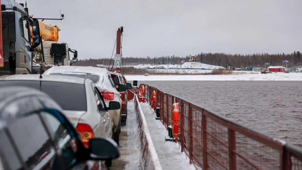    Фото: Юлия Чудинова/«Ямал-Медиа»