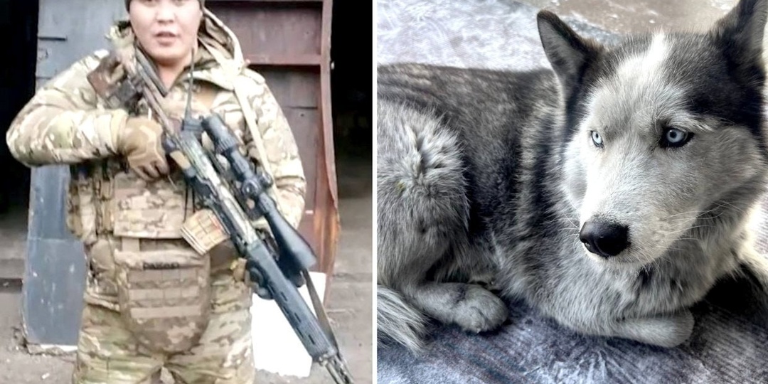 Тувимский Хатико по прозвищу Умка