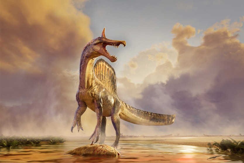     Фото: Dani Navarro / University of Chicago