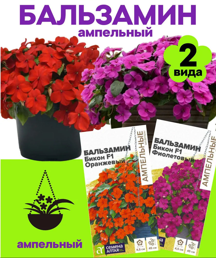 Две упаковки Бальзамина Бикон F1 в каждом по 5 шт семян 