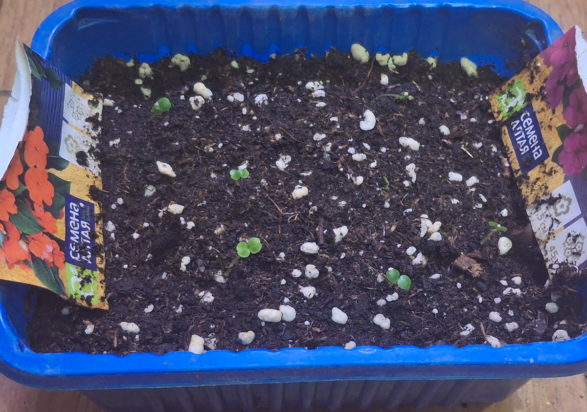 Дата: 19 февраля 2026