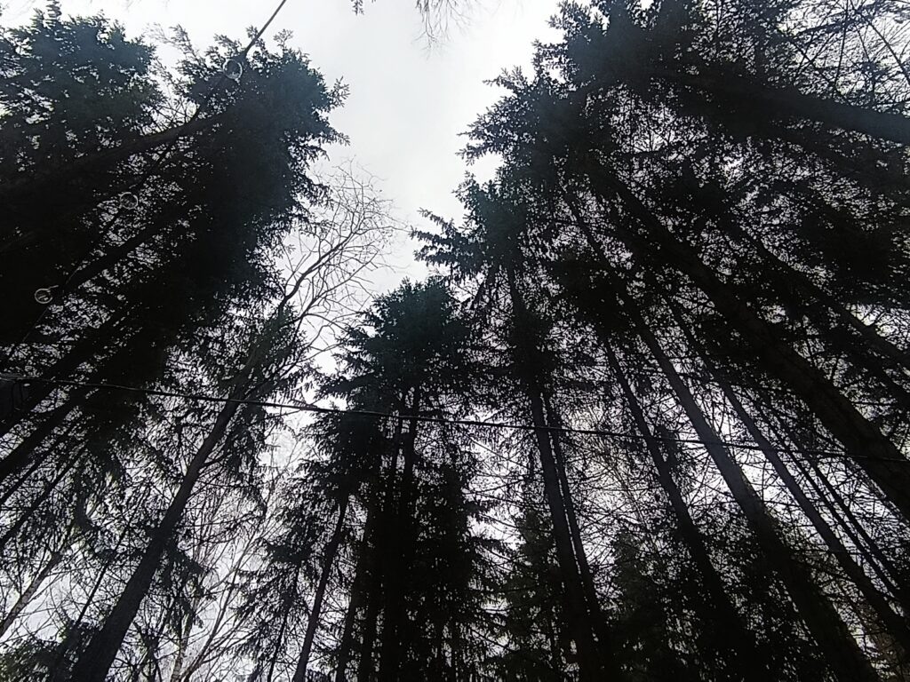    Фото: В курсе.ру