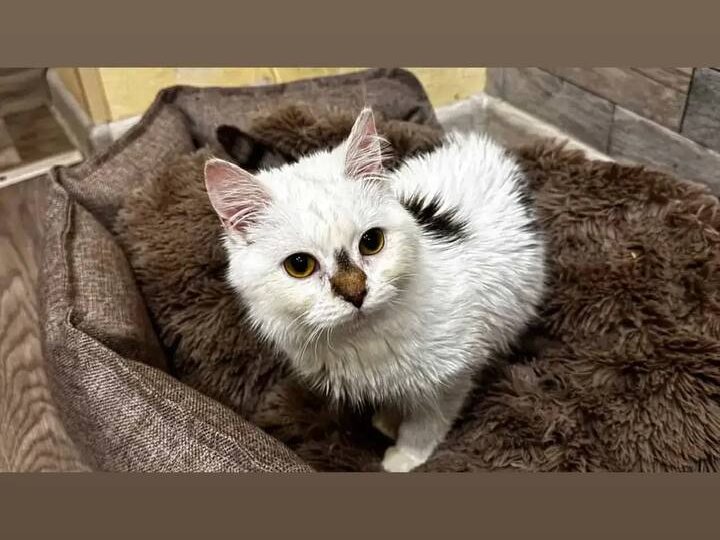 UPD: Найден дом