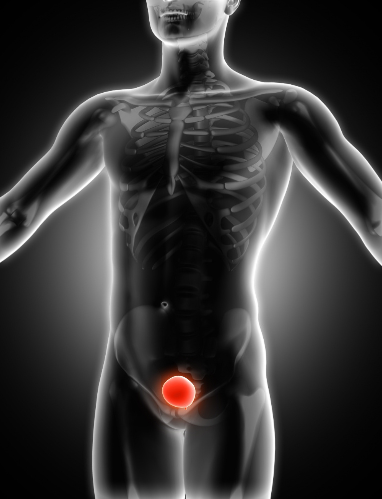 Иллюстрация kjpargeter с Freepik