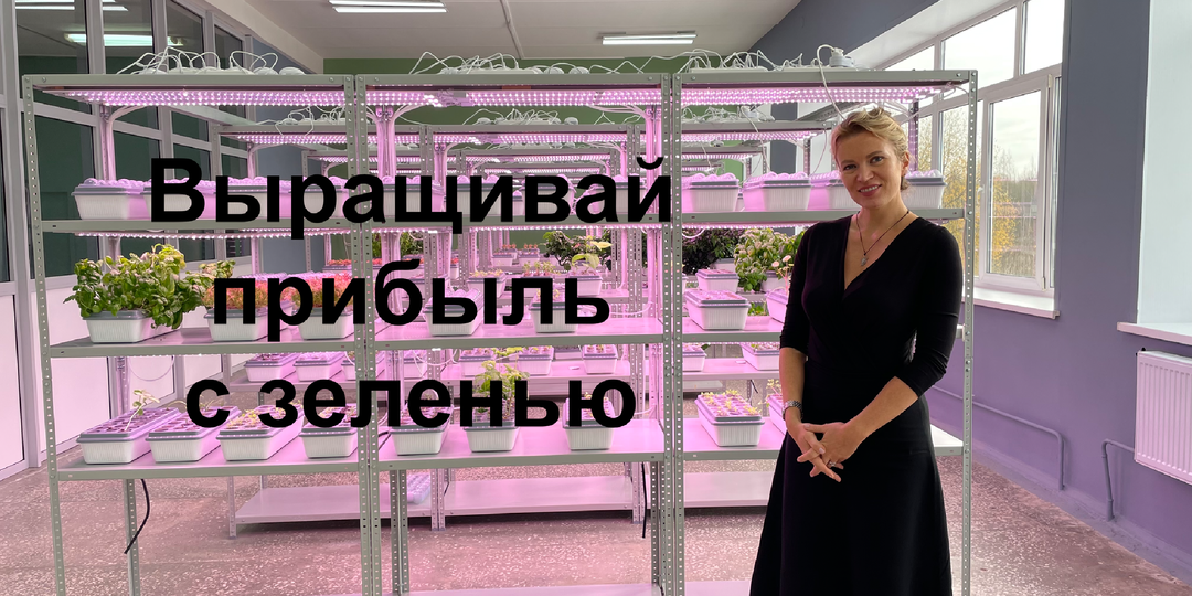 Выращивай прибыль с зеленью