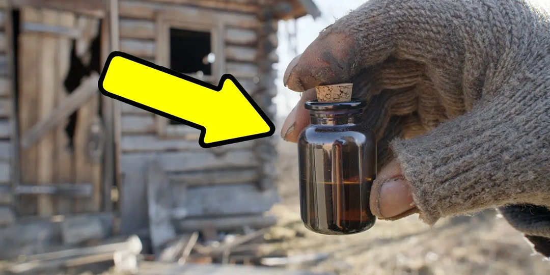 Таёжное зелье по рецепту старца. Встреча, изменившая всё. Таёжные истории.