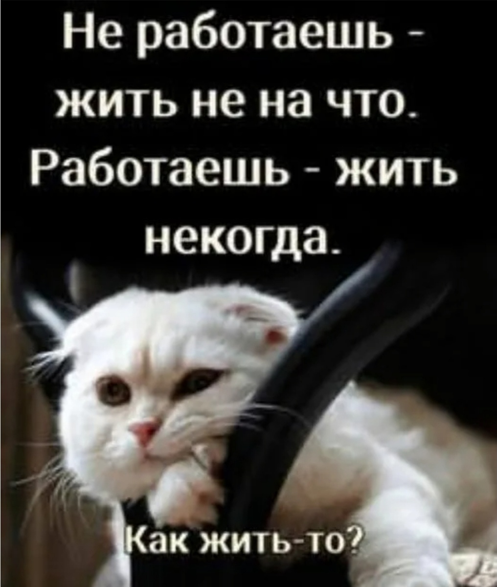 Скрин с Яндекс картинок. 