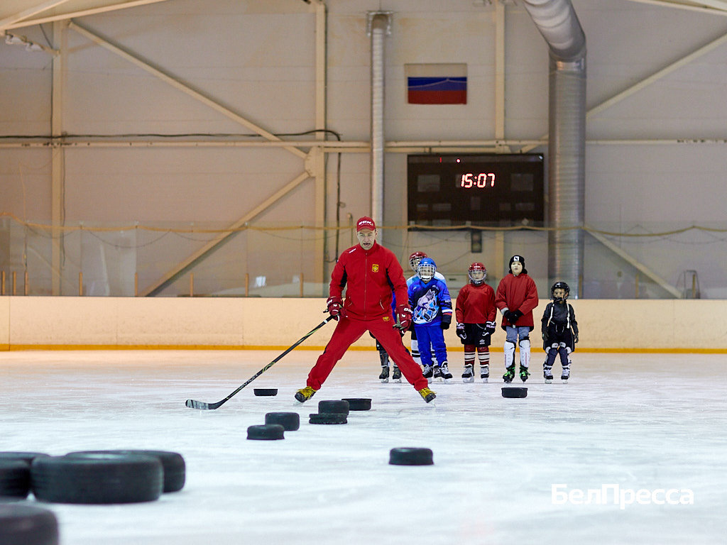     Фото: Елена Журавлёва