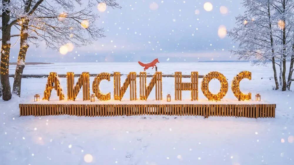 Сразу понятно: вы — в посёлке Лисий Нос 🦊