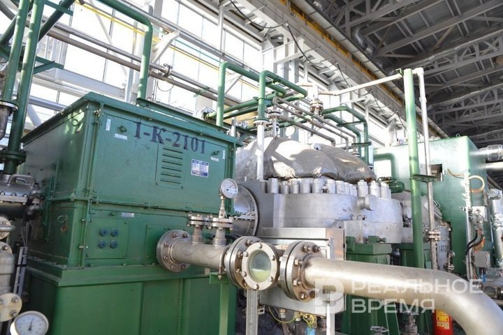   Максим Платонов / realnoevremya.ru