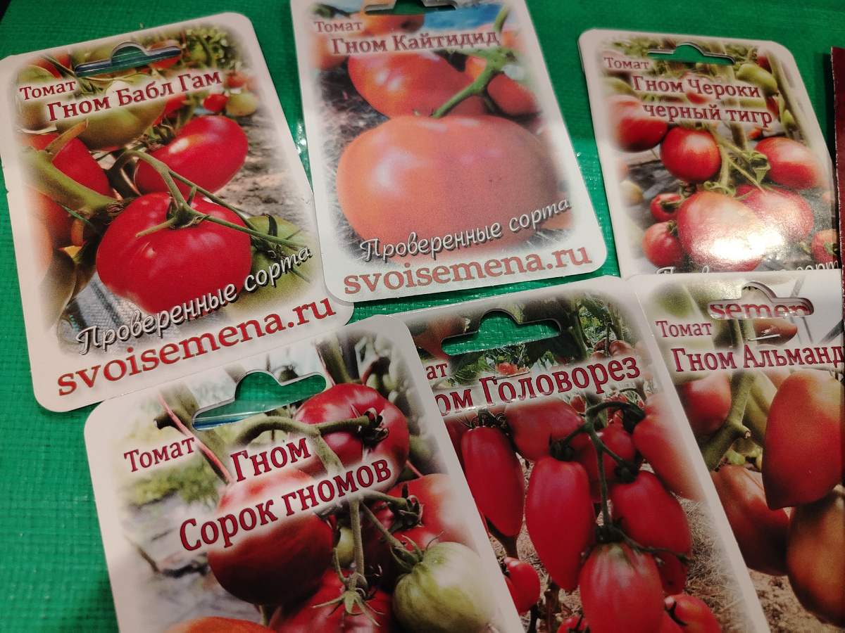 Эти сорта томатов я высаживала в сезоне 2025/фото автора