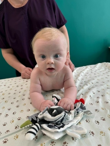 Изумрудики 2025