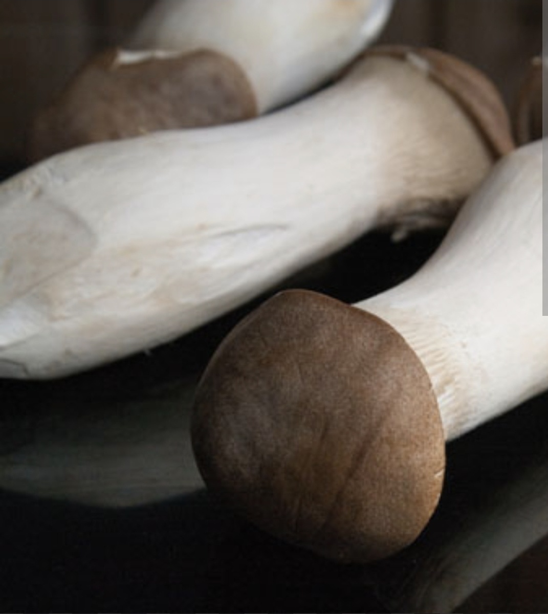 Грибы Эринги