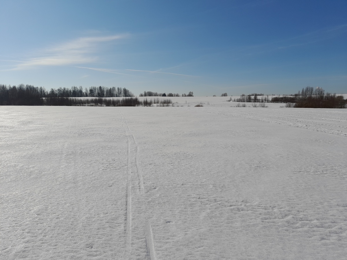 Дорог нет, только лыжи. Прямо по лисьим и заячьим следам. фото автора