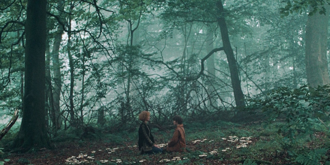 Два фильма о загадках природы