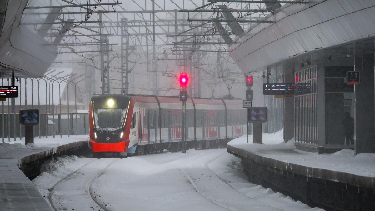    Фото: Belkin Alexey/news.ru