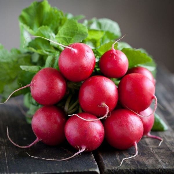 Редис Сора — надёжный сорт для стабильного урожая