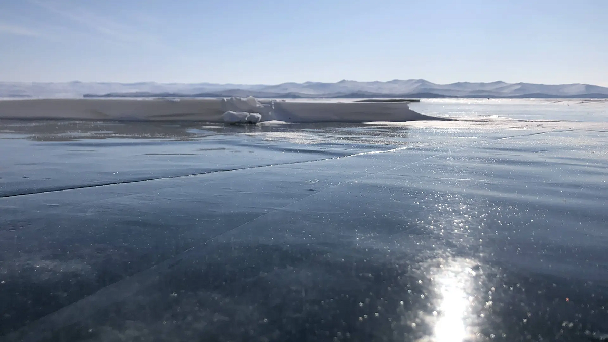    Фото: Вероника Новокрещеннова