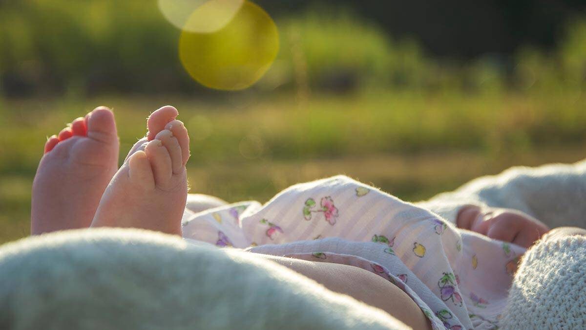    Фото: Shutterstock