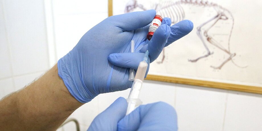    Фото: портал мэра и правительства Москвы