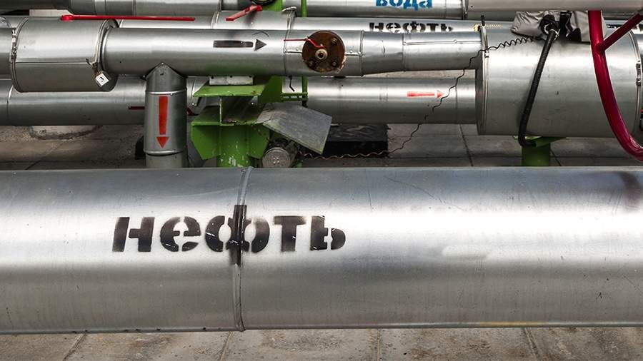    Фото: ИЗВЕСТИЯ/Константин Кокошкин