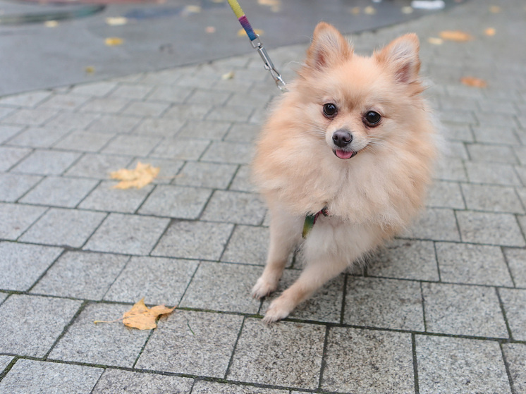   Наталья Мущинкина