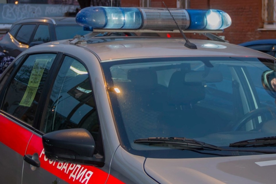    В Петербурге задержали иностранца с поддельными документами. Фото: vk.com/rosgvard78