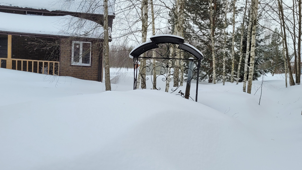 Я в снежном плену.